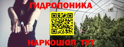 наркотики Сланцы