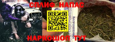 наркотики Сланцы
