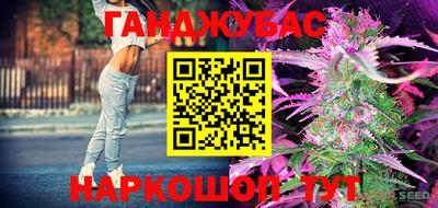 наркотики Сланцы