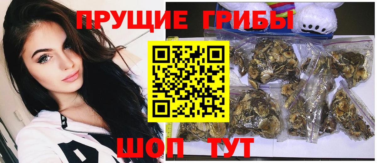 Псилоцибиновые грибы Cubensis Серпухов