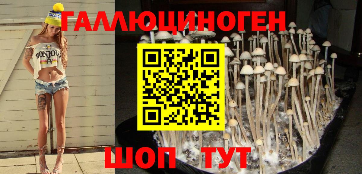 Псилоцибиновые грибы Magic Shrooms  Вход с VPN  Серпухов 