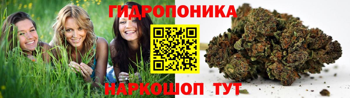 Каннабис марихуана  Бошки Шишки OG Kush  Вход с VPN  Серпухов  Конопля Bruce Banner 